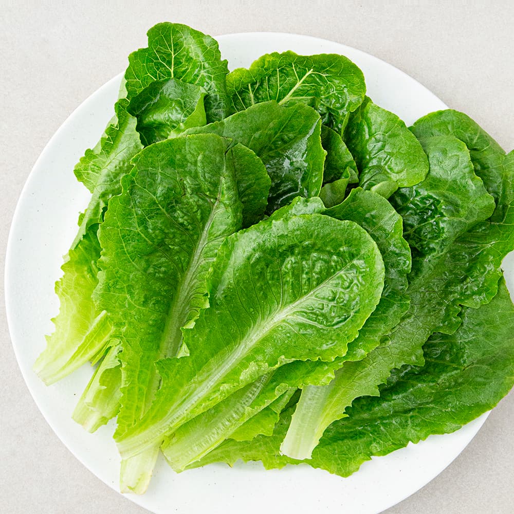 로메인 상추
